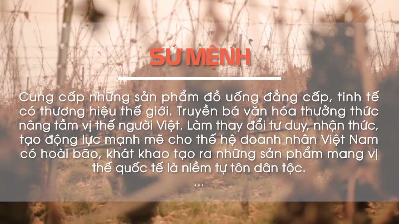 Về chúng tôi - Khám Phá Sứ Mệnh và Giá Trị Cốt Lõi Của Chúng Tôi